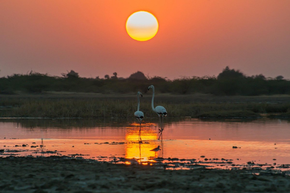 little rann of kutch