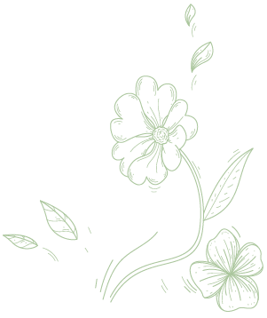 Shape Image