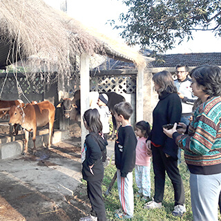 Cultural Rural Immersions