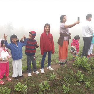 Nature Inspired Celebrations Birthdays